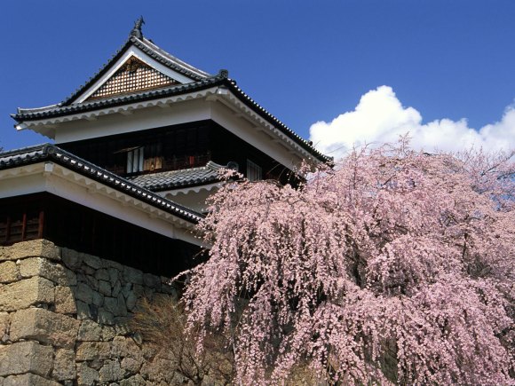 10 ปราสาทญี่ปุ่นที่ไม่ควรพลาดมาเที่ยว-ปราสาทอุเอดะ